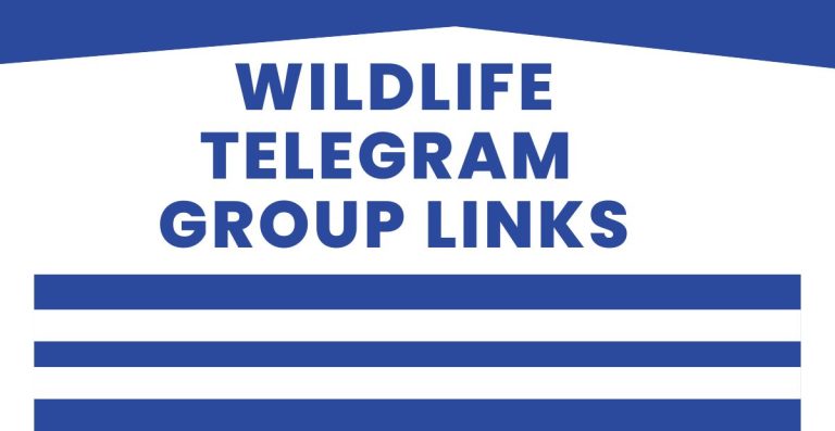New Wildlife Telegram Group Links